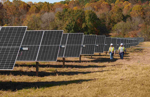 Amazon signs power purchase agreement for full capacity of 100 MW solar project in Mississippi