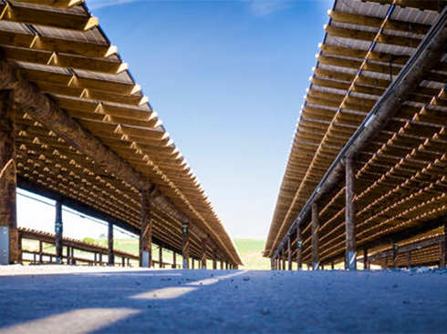 Belgian Wildlife Park builds the world's largest wooden solar carport
