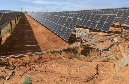 Reduce soil health and erosion risks of large-scale solar projects in public utilities